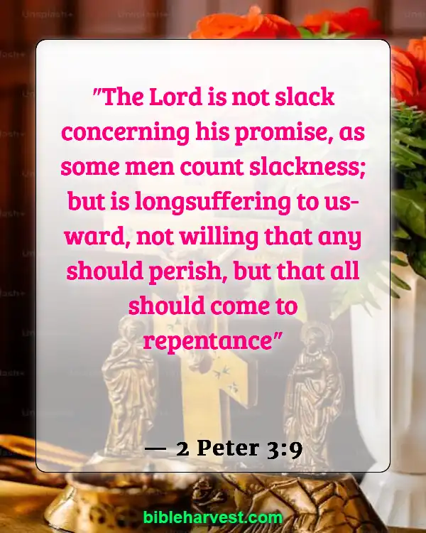 Bible Verses About Sin (2 Peter 3:9)