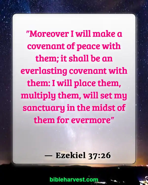 Verses About Israel (Ezekiel 37:26)
