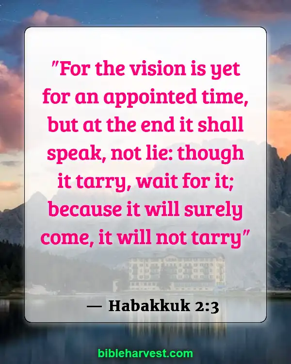God Has A Plan For Your Life Bible Verse (Habakkuk 2:3)