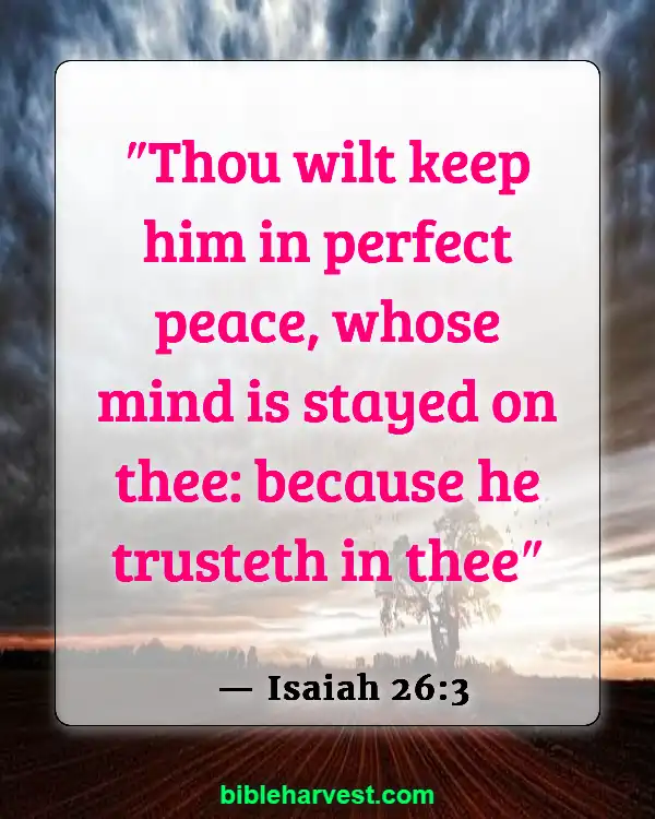 Bible Verses About Sadness (Isaiah 26:3)