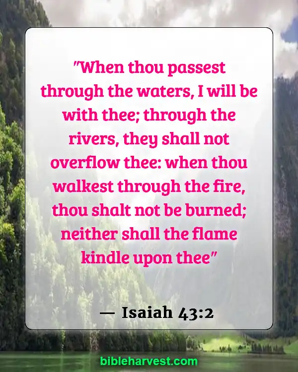 Bible Verses About Sadness (Isaiah 43:2)