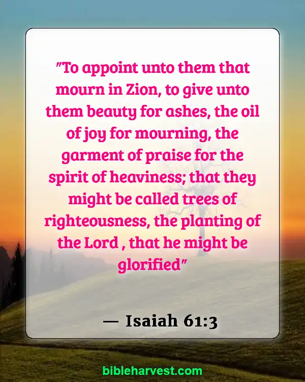 Bible Verses About Sadness (Isaiah 61:3)