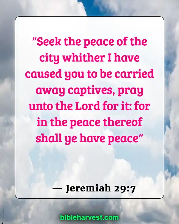 Verses About Israel (Jeremiah 29:7)