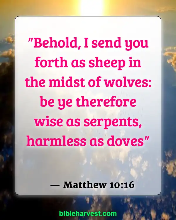 Bible Verses About Deception In The Last Days (Matthew 10:16)