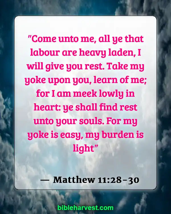 Bible Verses About Sadness (Matthew 11:28-30)