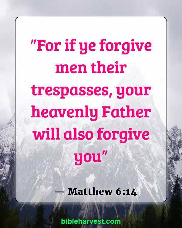 Bible Verses About Sin (Matthew 6:14)