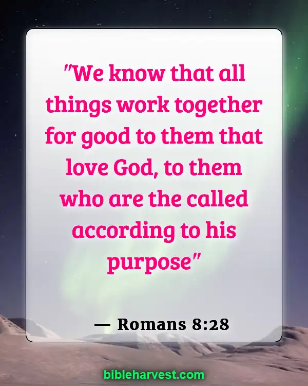 God Has A Plan For Your Life Bible Verse (Romans 8:28)